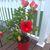 Maggie Reilly's profile image