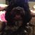 Kelli Hesketh Anderson's profile image