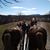 Chastity Jason Buehring's profile image