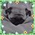 Martha Stavrou's profile image