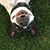 Melissa Dyess's profile image