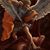 Tommy Fyke's profile image