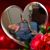 Mary Neumeyer Creech's profile image