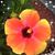Jennifer Gibson's profile image