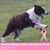Coral Smith's profile image