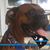 David P Milligan's profile image