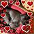 Lesley Fant's profile image
