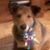 Kathy Steeber's profile image