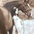 Sharon E Phillips's profile image