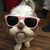 Jayme Frazee's profile image