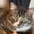 Gloria Rodriguez Smith's profile image