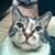 Amy Bruch's profile image