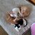 Kathy Wolfe's profile image