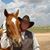 Kevin Hogge's profile image