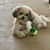 Dolores Kovachick's profile image