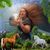 Katherine Alexander's profile image