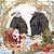 Wanda Castro Straut Judson's profile image
