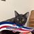 Denise Cantrell's profile image