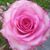 Adina Rodriguez's profile image