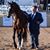 Kathryn Wickstrom's profile image