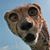 Enette Wigginton's profile image