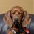 John Kraber's profile image