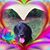 Kelley Worner's profile image