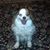 Franny Furthmyer's profile image