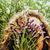Andrea Nunes Klauss's profile image