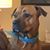 Shannon Crowder's profile image