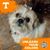 Jorene Gorrell Davis's profile image