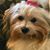 Kathy Bobenhausen Knieriem's profile image