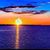 Tracey Casazza's profile image