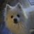 Scott Waltz's profile image
