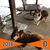 Linda Lindbergh's profile image
