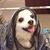 Jolie Reed's profile image