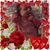 Wanda Opsahl Mitchell's profile image