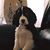 Jean Looper Ruckel's profile image