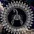 Stephanie Kay Vivier's profile image