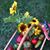 Karen Burns's profile image