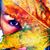 Michele Grund's profile image