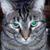 Richard Aulds's profile image