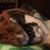 Heather Bateman's profile image