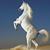 Ceres Baker's profile image