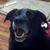 Samantha Brocklebank's profile image