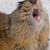 Jeremy Carroll's profile image