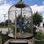 Colleen Olson Criswell's profile image