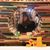 Carina Cristiano's profile image