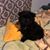 Sherrie Benson's profile image