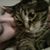 Karee Marie's profile image